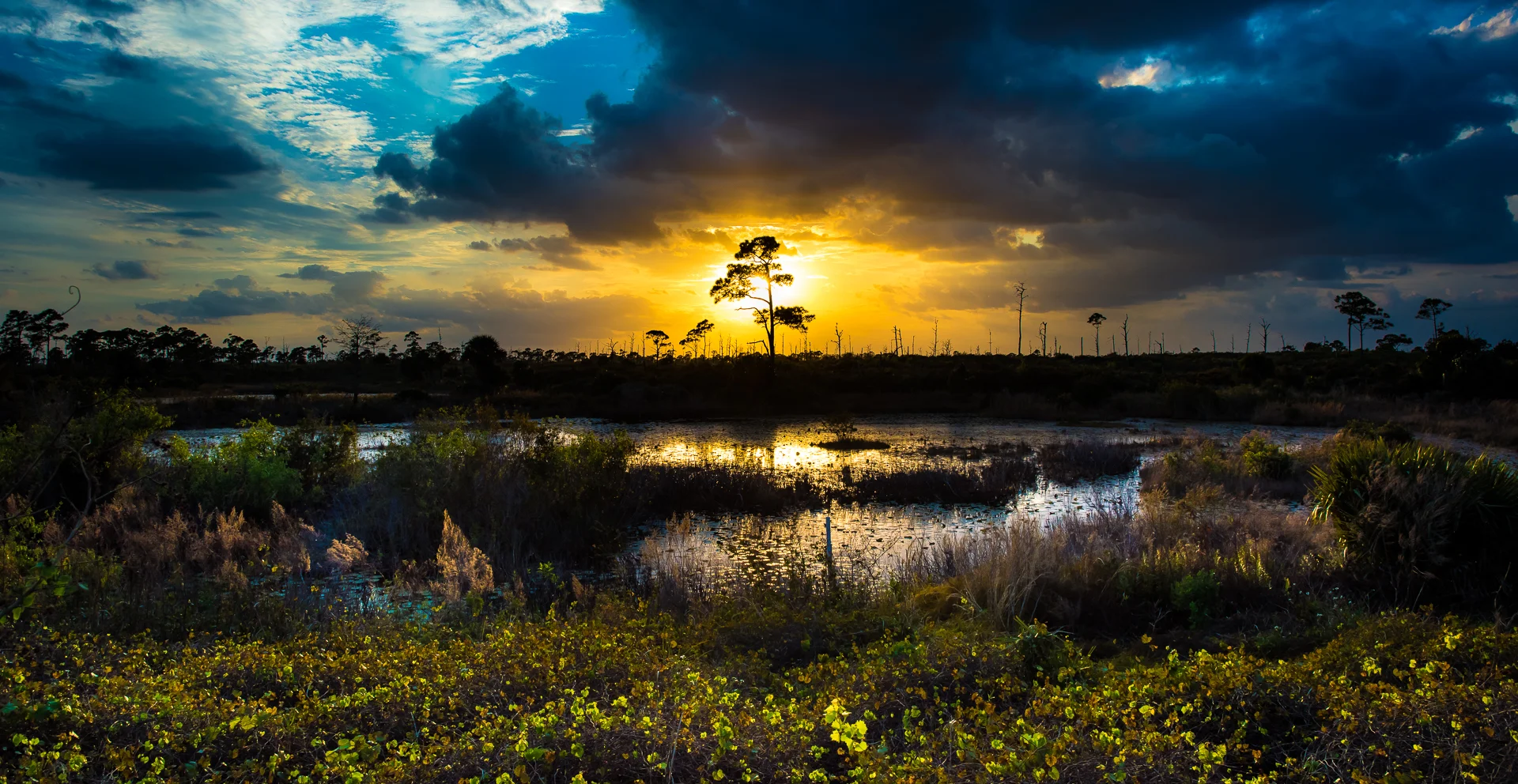 Jack Bates - Wedding Photographer